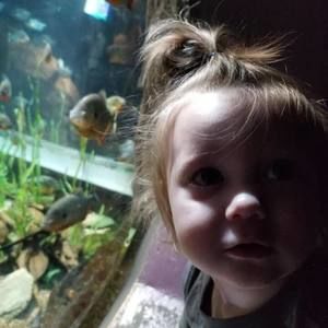 Meet your Posher, Calais